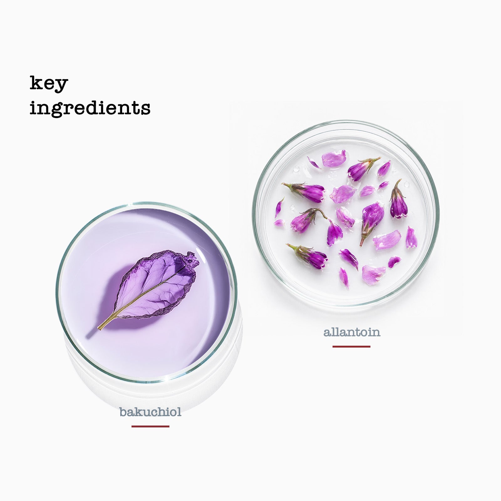 Progenics